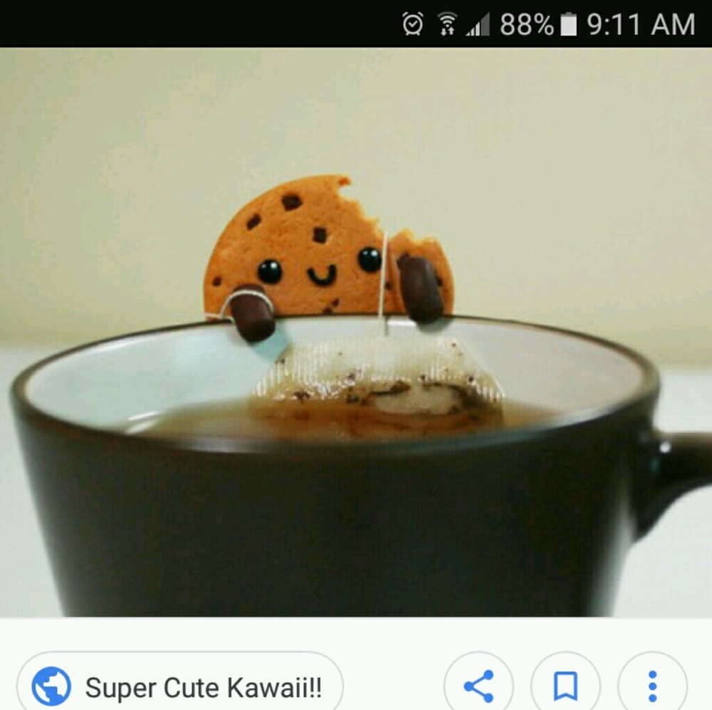 Meet your Posher, Tisha